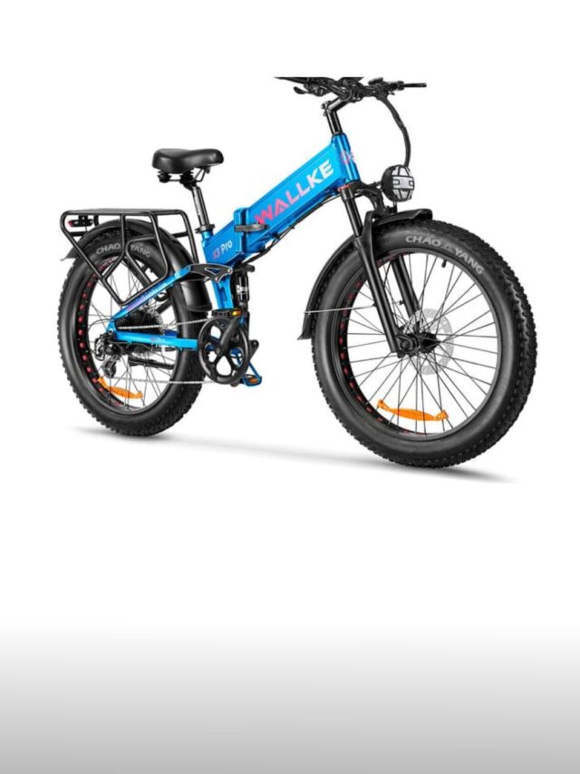 Wallke Electric Bike Price